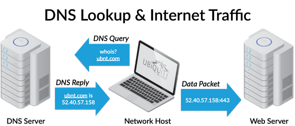 dns lookup image