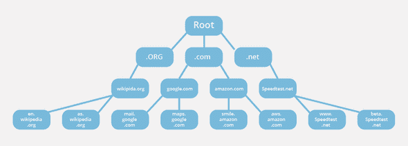 dns lookup image